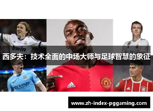 西多夫：技术全面的中场大师与足球智慧的象征