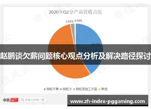 赵鹏谈欠薪问题核心观点分析及解决路径探讨 赵鹏谈欠薪问题核心观点分析及解决路径探讨
