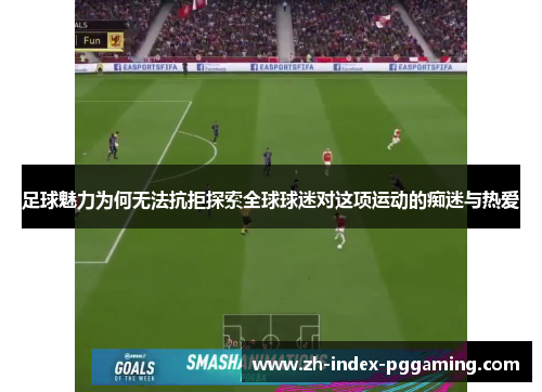 足球魅力为何无法抗拒探索全球球迷对这项运动的痴迷与热爱