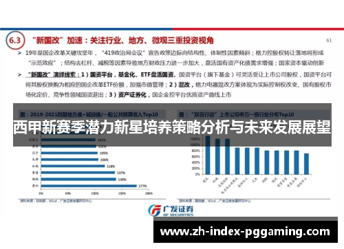 西甲新赛季潜力新星培养策略分析与未来发展展望