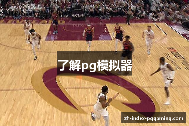 了解pg模拟器